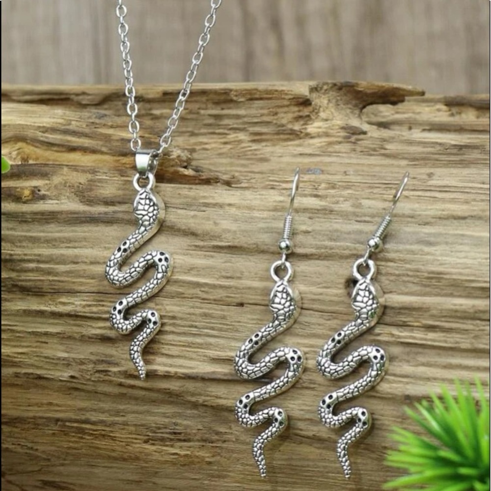 2PC Silver Retro Serpent Snake Earrings & Necklace